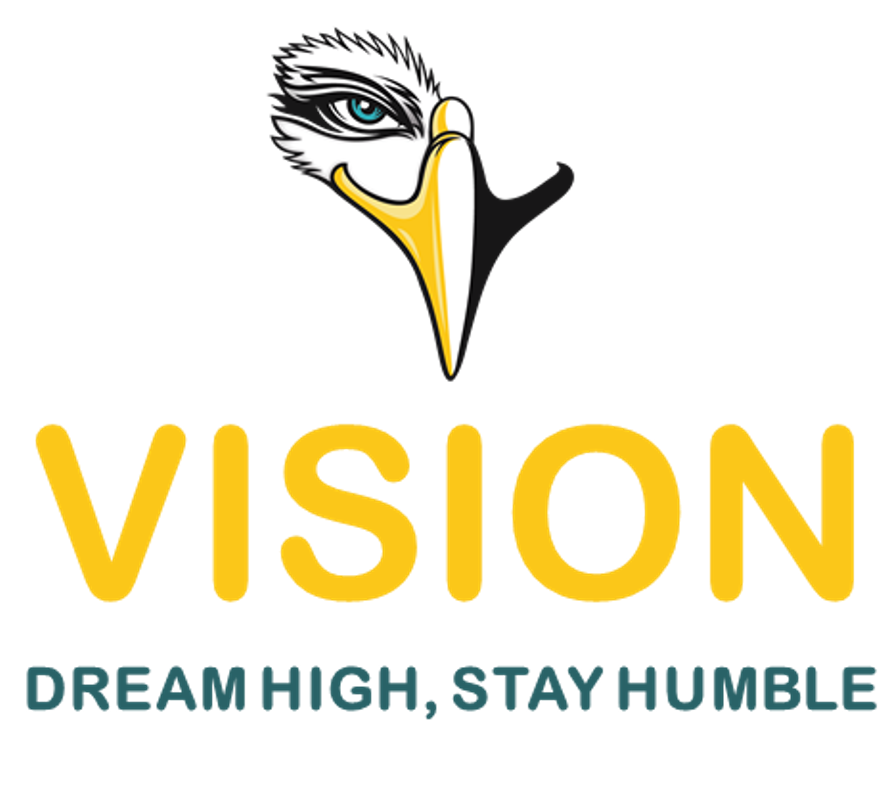 Vision APS – Dream high, stay humble